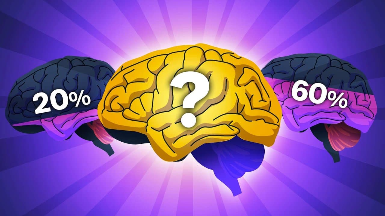 How To ALWAYS Stay Motivated