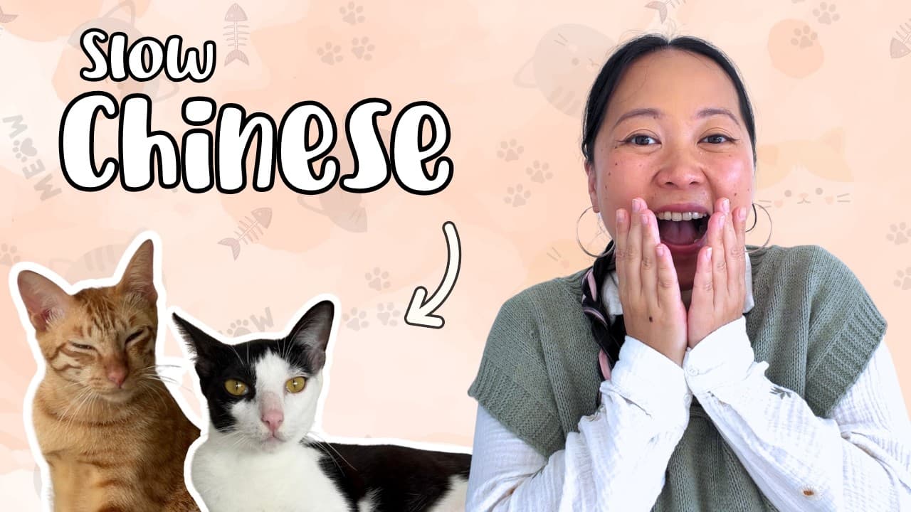 Meet My Cats | Total beginner Chinese