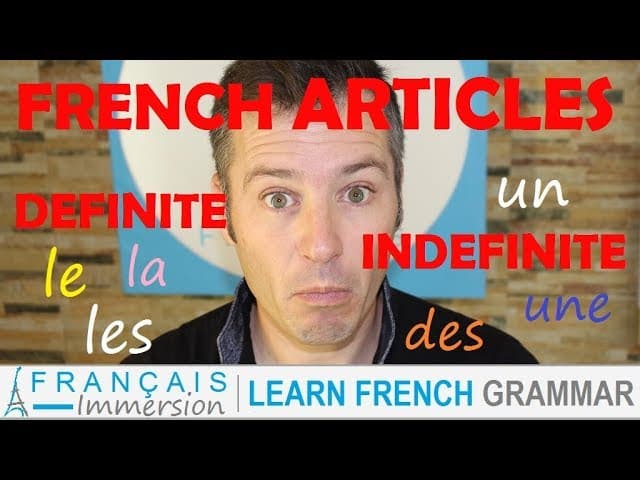 French ARTICLES (Definite and Indefinite) - Les Articles définis et indéfinis + FUN! (Learn French)
