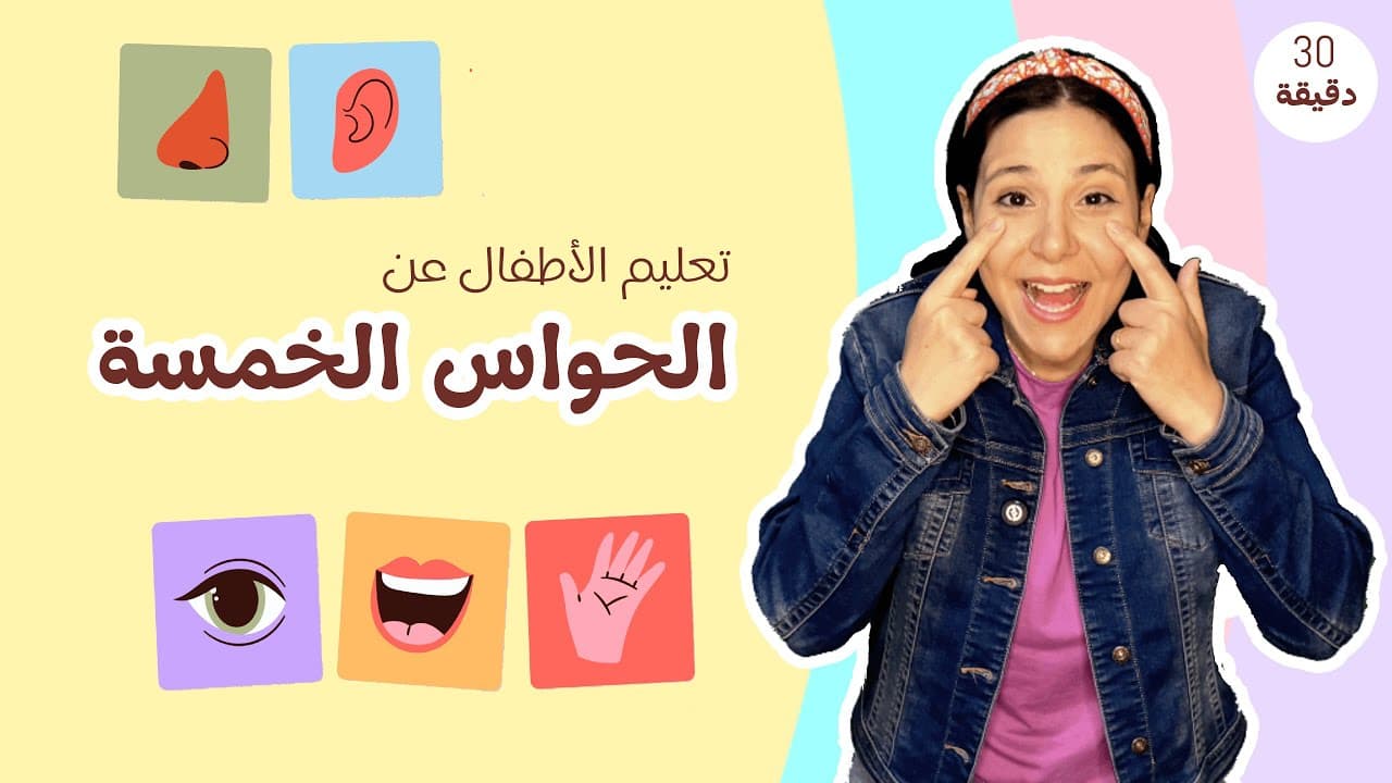 الحواس الخمسة للاطفال باللغة العربية | الألوان - أصوات الحيوانات Toddler Learning Arabic