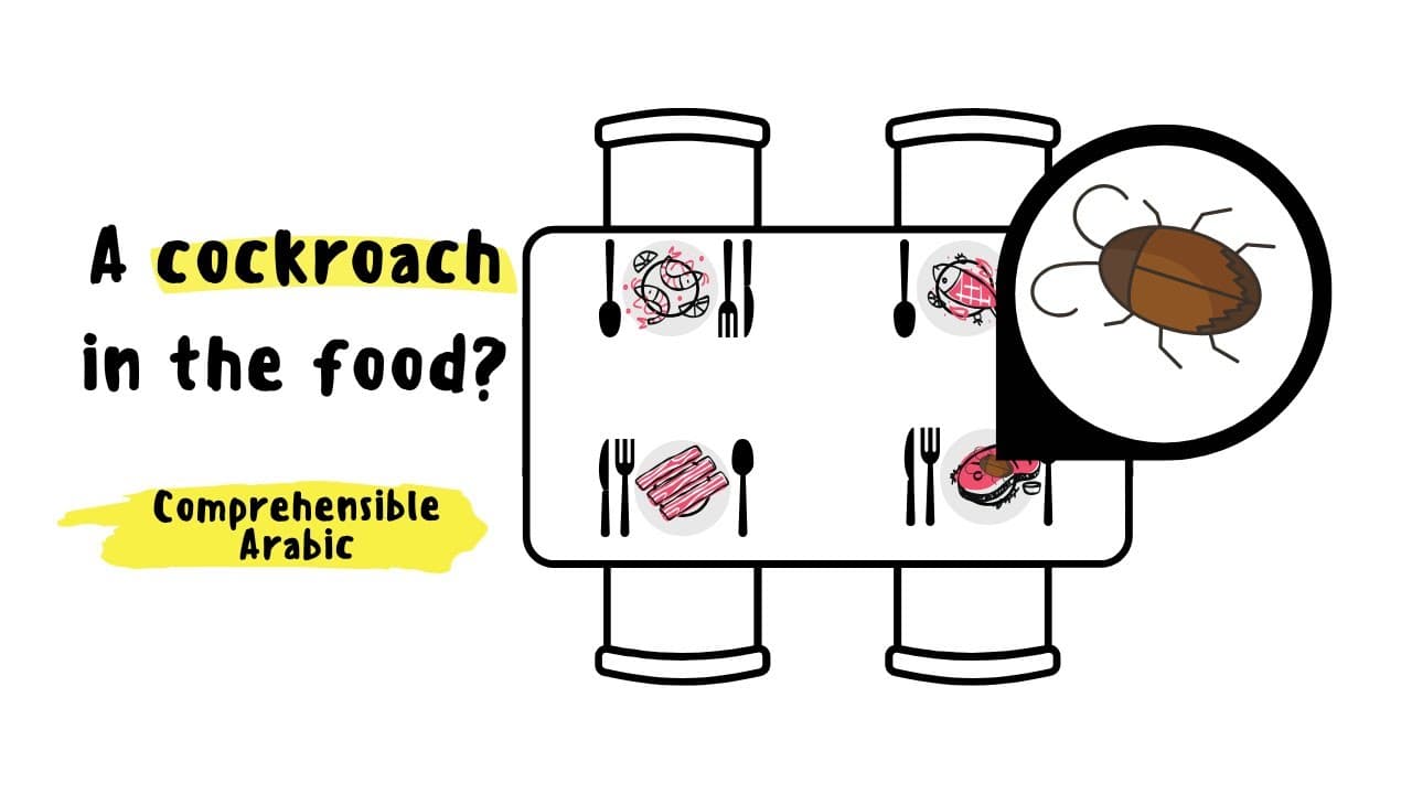 A cockroach in the food? | Beginner | Arabic Comprehensible Input