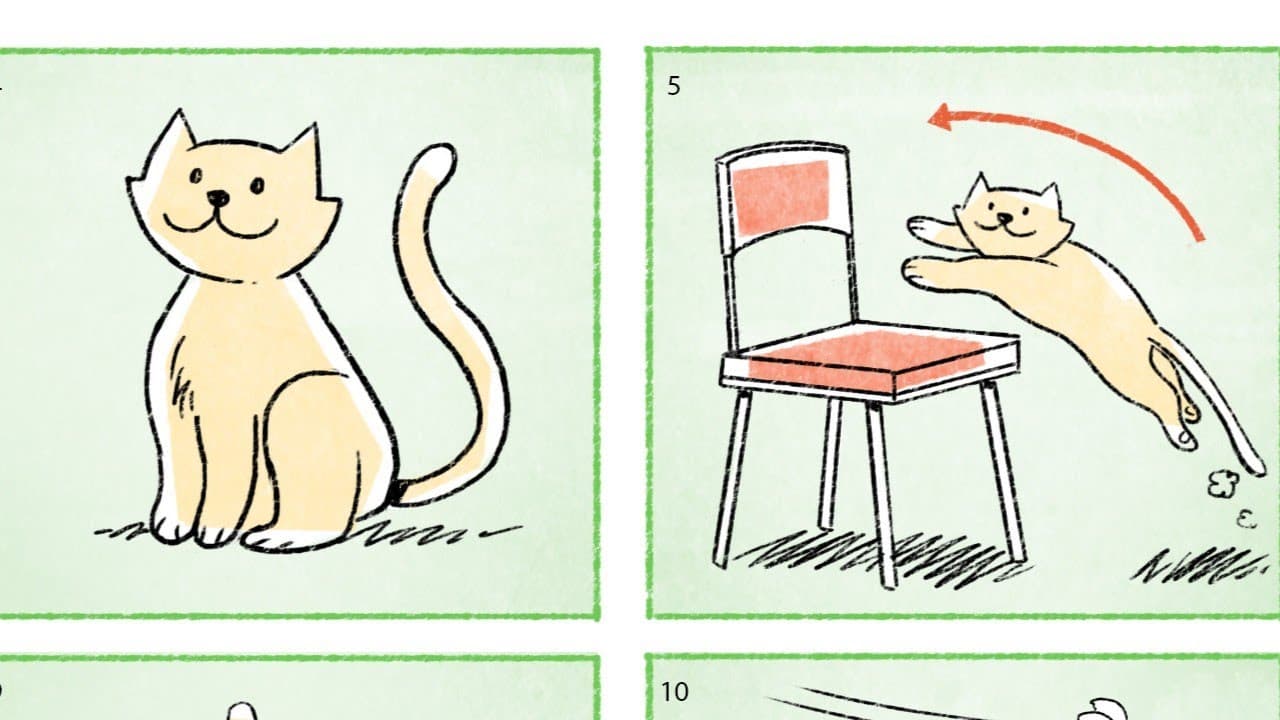 [CC] Cat 猫  - Comprehensible Input Mandarin Picture Talk