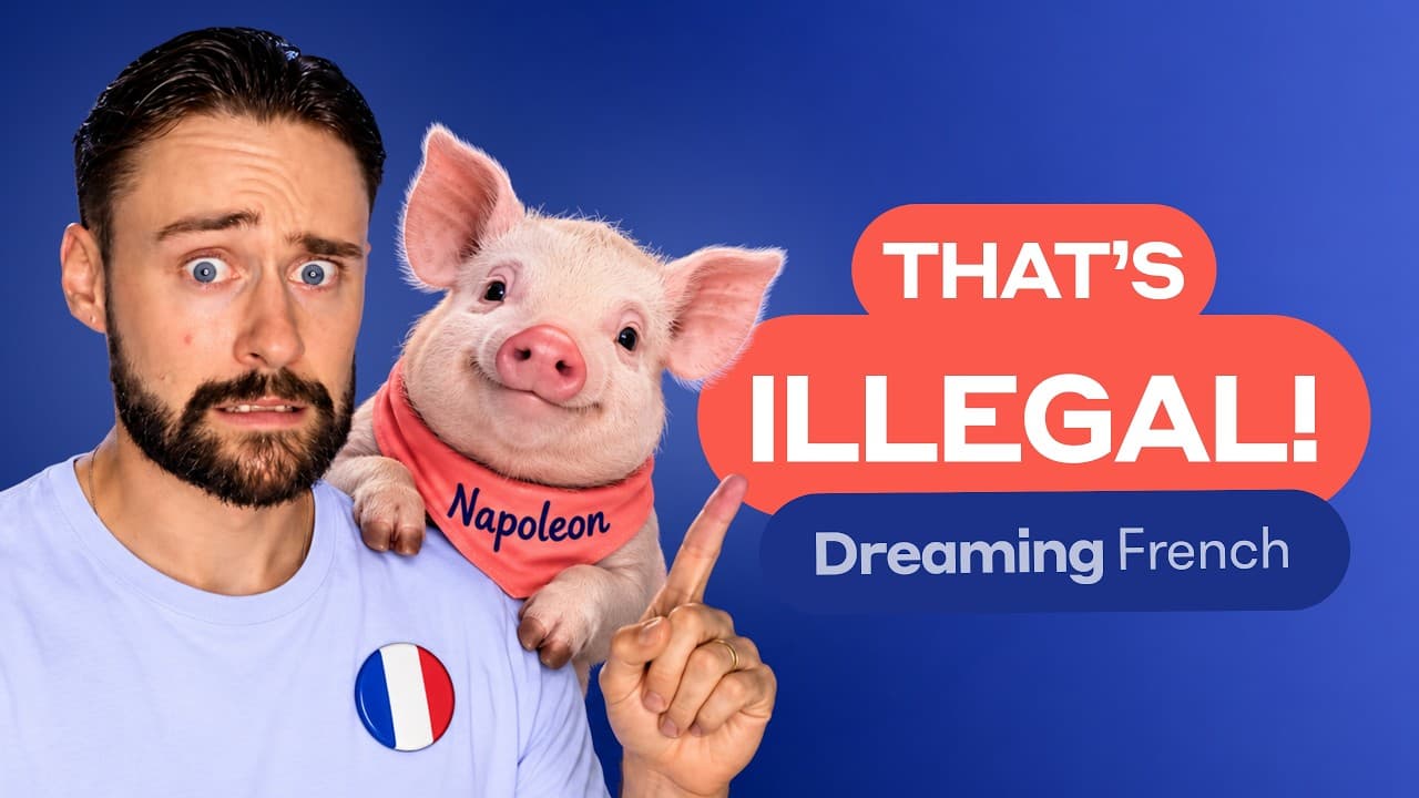 French Comprehensible Input for Beginners | Crazy French Laws