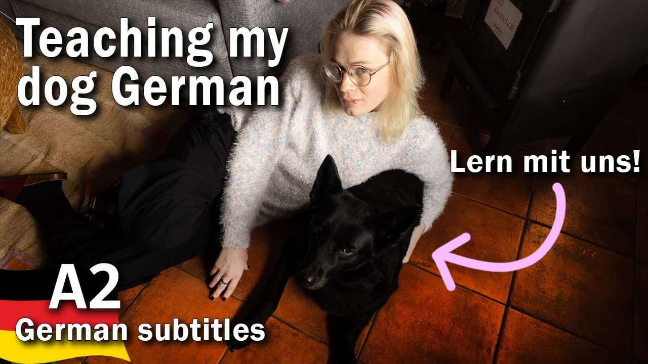 Easy German Listening Practice A2 / German beginner to intermediate comprehensible input subtitles