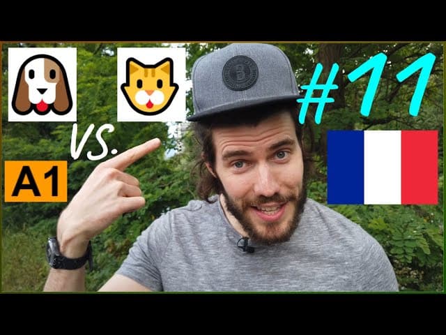 Learn French from Scratch 🇫🇷    A1#11 "Chiens ou chats?"    (en/fr/ru sub)