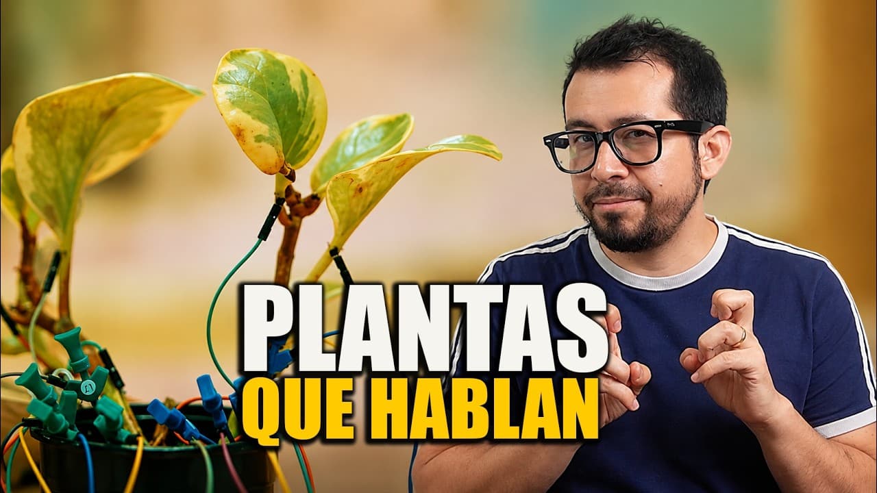 Desarrollan Dispositivo para que las Plantas "NOS HABLEN"