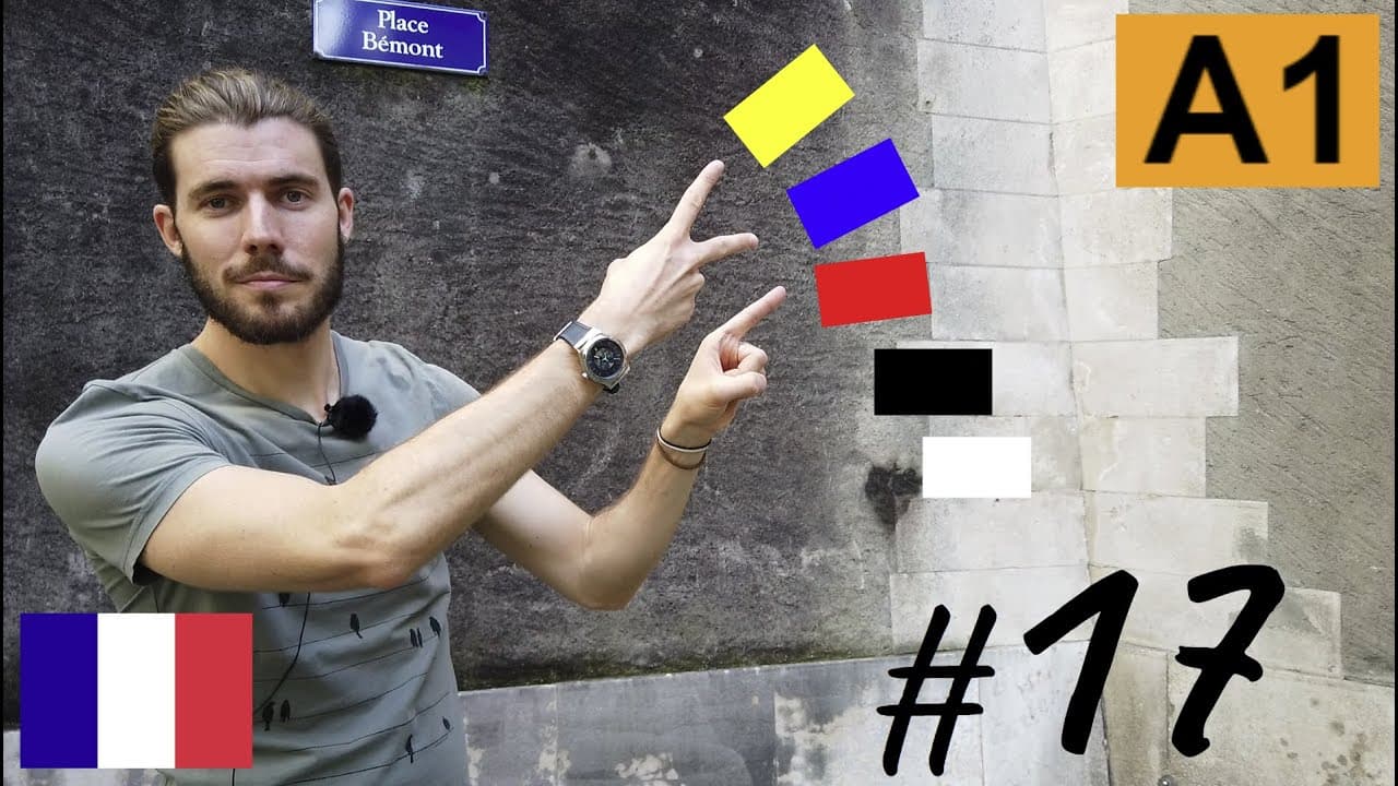 Les couleurs en français   A1 #17   (fr sub)