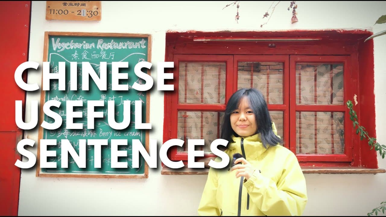 实用中文句子 | HSK1-2 (Eng Sub & Pinyin)