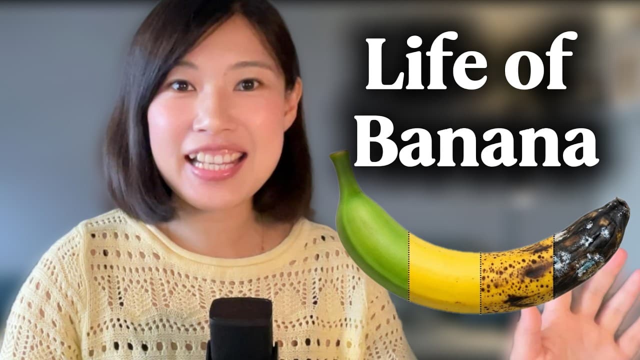 HSK 3 Chinese Listening/Comprehensible Input / Life of Banana