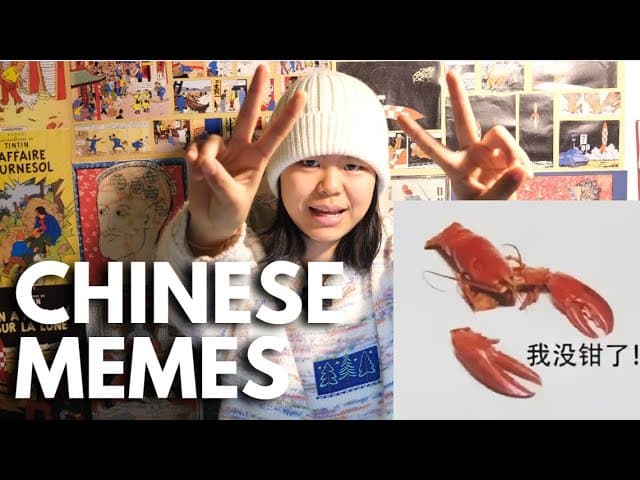 跟我一起看中文表情包！#2 |  HSK2-3 (Eng Sub & Pinyin)