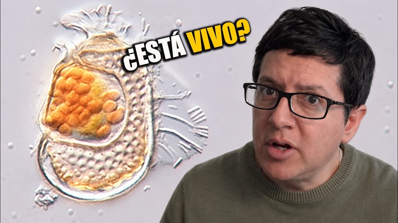 Descubren Organismo que Desafía la Definición de VIDA