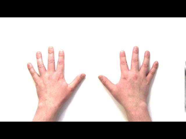 Very Easy English Lesson for Beginners with TPR (Total Physical Response) | Left Hand and Right Hand