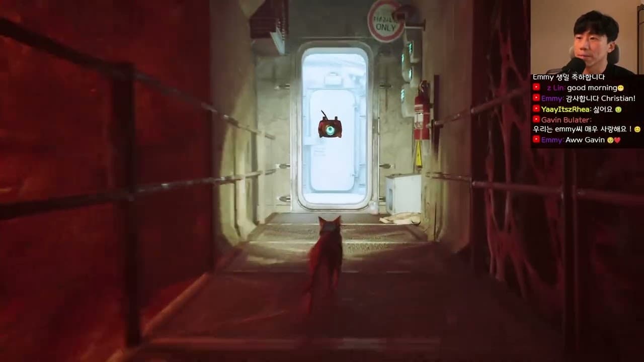 Korean Listening Practice with Games - [ Stray ] ep6(fin) [ For Beginners / A2 ]