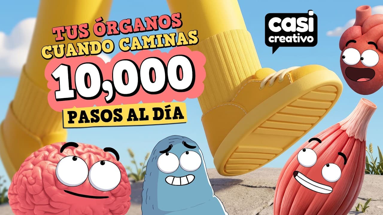 Tus Órganos Cuando Caminas 10,000 Pasos al Día | Casi Creativo