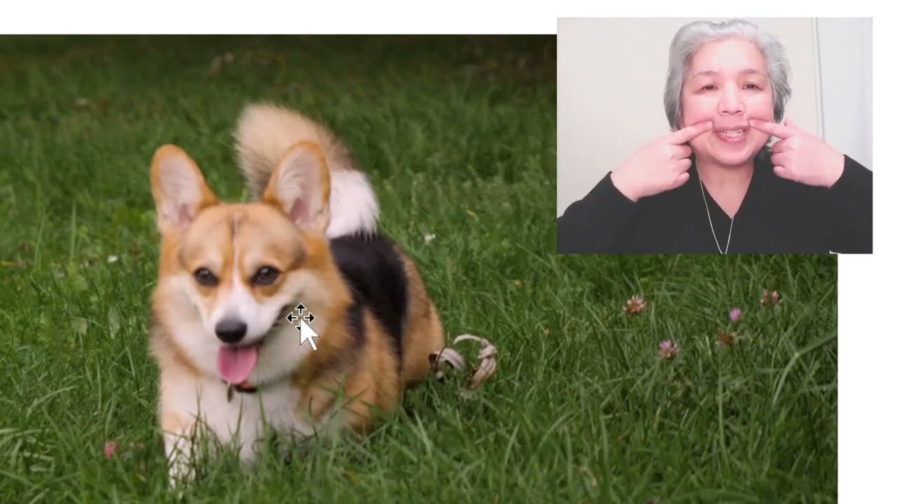 Watch and React Japanese Basics6 (Absolute Beginner) Comprehensible input 見ておぼえる日本語6/100‐inu