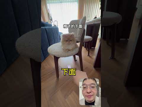 超级简单的中文学习，汉语可以直接听懂，学习中文汉语#chineselearning #learnchinese #中文学习