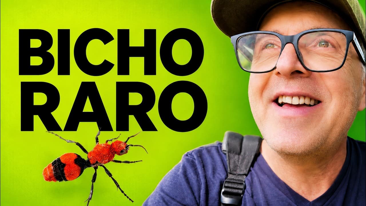 Soy un bicho raro...