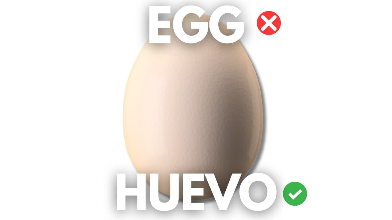 Imagine You Want to Learn Spanish But You’re an EGG