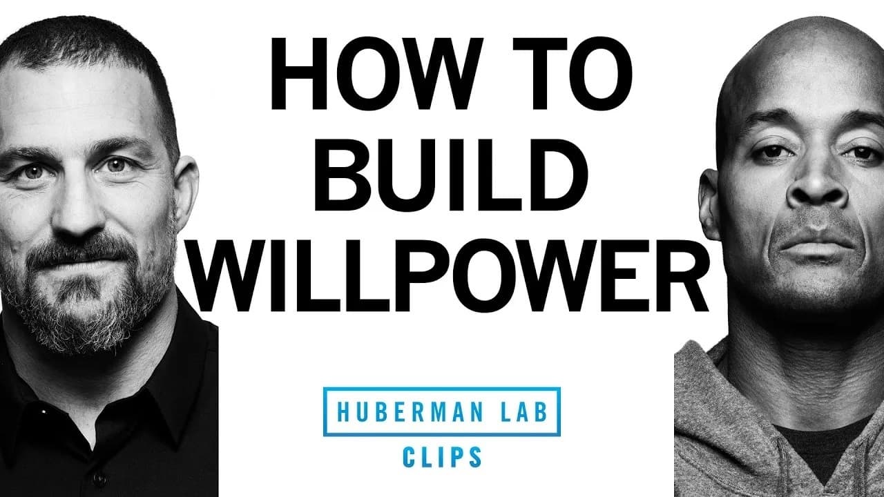 How to Build Extreme Willpower | David Goggins & Dr. Andrew Huberman