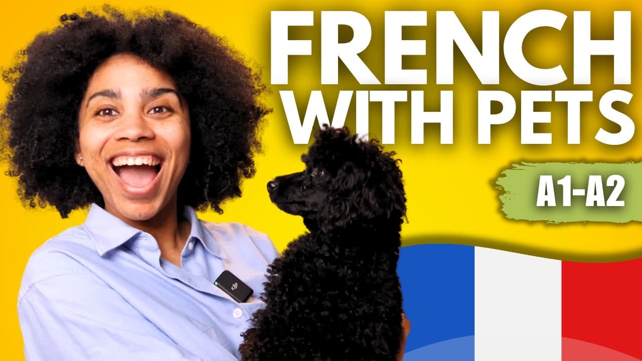 French for Beginners: A Crazy Pet Competition! (A1-A2)