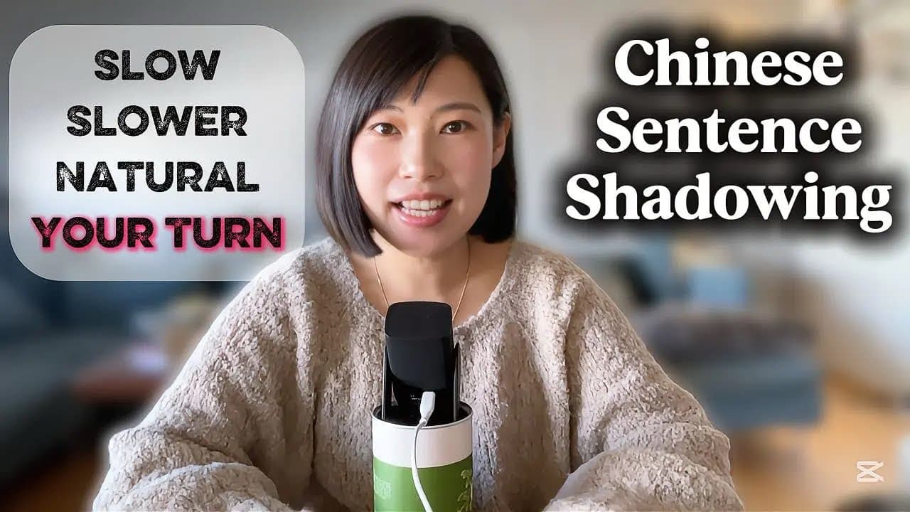 What I did  just now ! 10 Sentences for Shadowing Practice. Most Used Daily Chinese Sentences