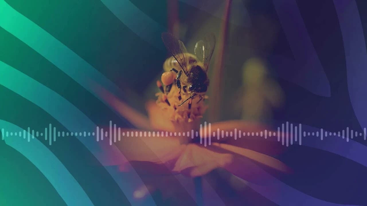 La biodiversité dans ma rue - Pour que nature vive