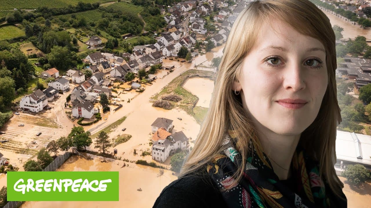 Hochwasser-Katastrophe: Was JETZT passieren muss