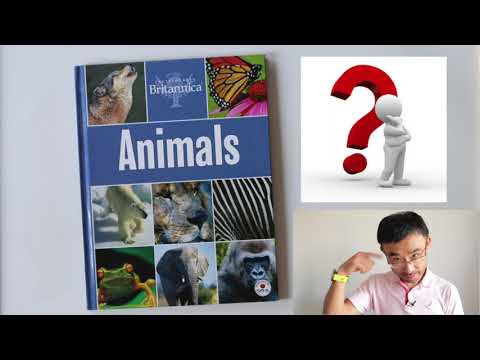 猜动物🐂🐘🐒 - Guess Animals - Adivina los animales (Comprehensible Input Chinese)