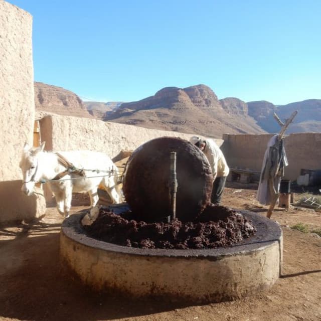 006 - Travel misadventures in Chile & Morocco