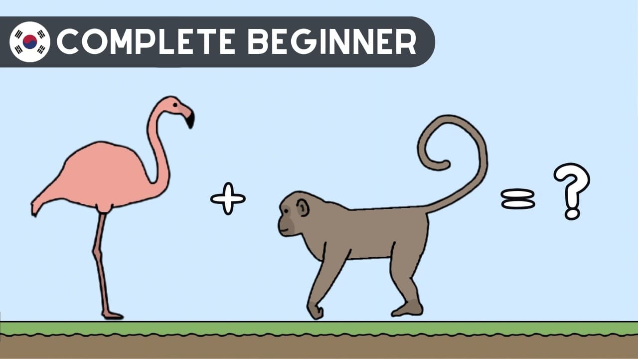 What Animal Is This?! | Beginner Korean Comprehensible Input