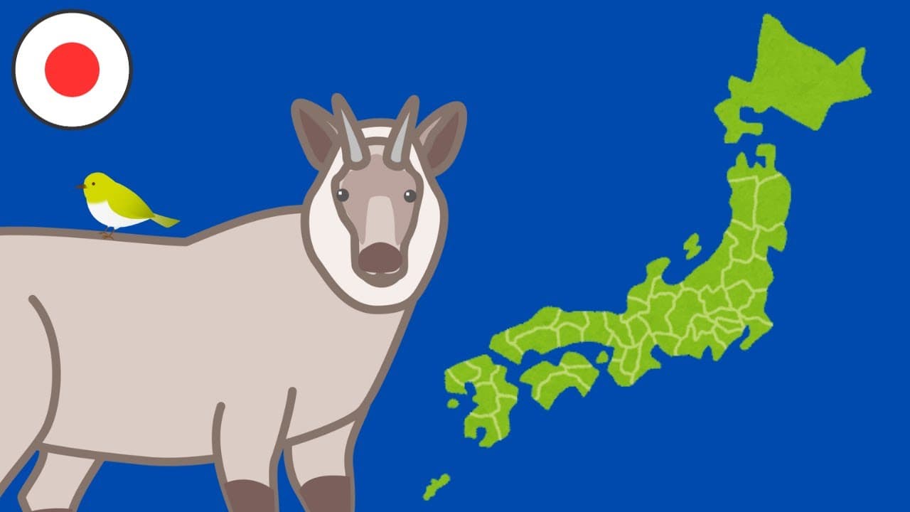 Which Prefecture Is It? | Lower Intermediate Japanese