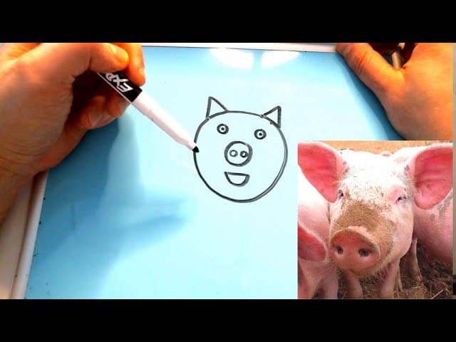Super Easy Beginner English Lesson: Drawing Shapes & Animals | Total Physical Response (TPR) English