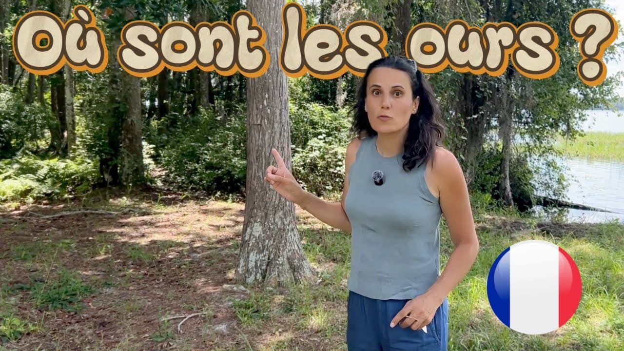 French Listening 🇫🇷 : Je veux voir un ours