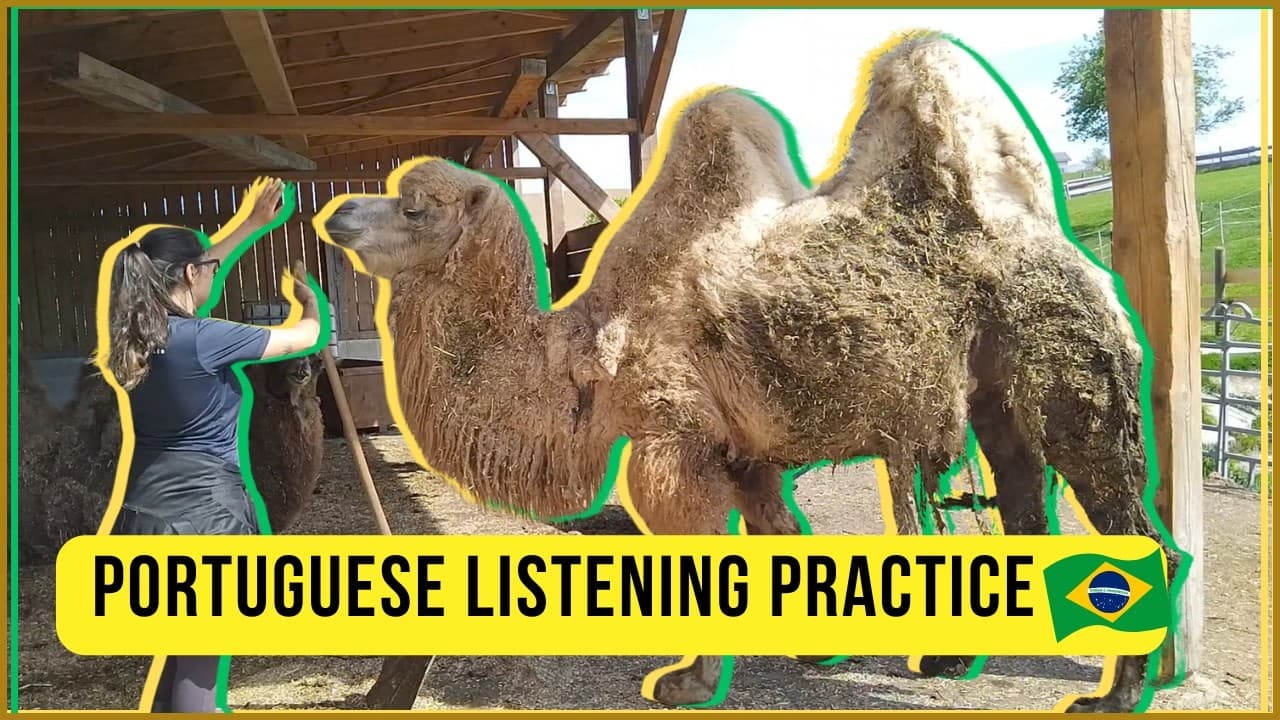 My Routine on a German Farm | Easy Portuguese Podcast