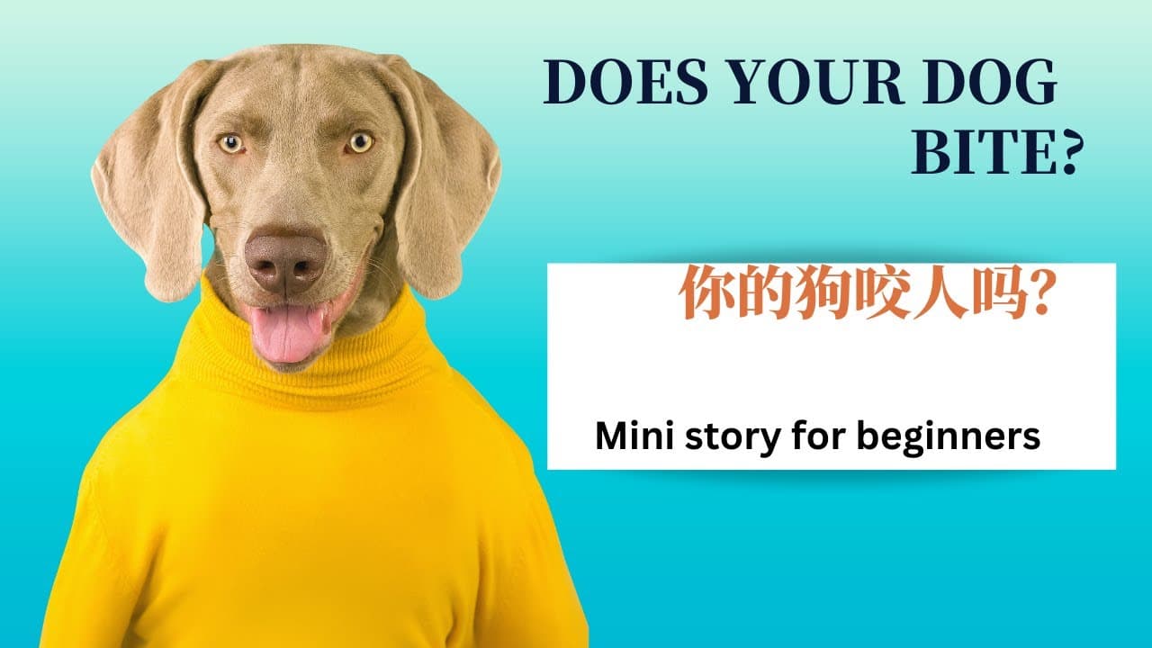 Does your dog bite? | Mini story for pre-beginners | Comprehensible Input