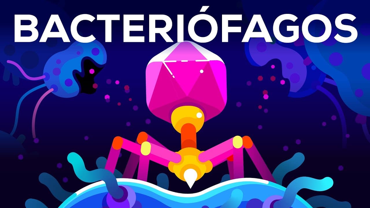 O ser mais mortal do planeta Terra – O bacteriófago