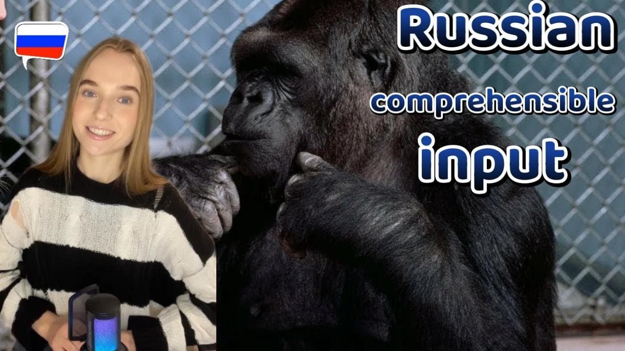 Koko Gorilla (Pre-intermediate Russian Comprehensible Input)