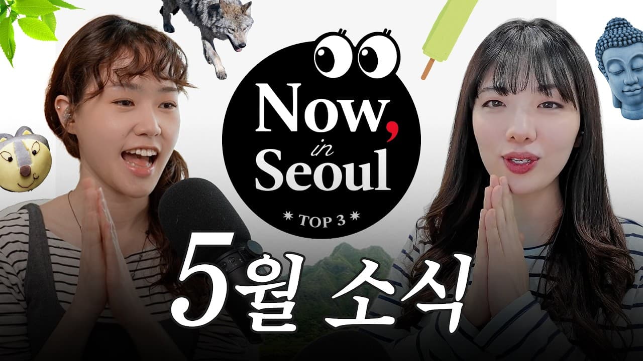 📍 5월 소식: 요즘 핫한 K-등산, 늑구 탈출 대소동, '살목지' 촬영지 핫플 열풍과 서울 꿀정보까지 | Now in Seoul