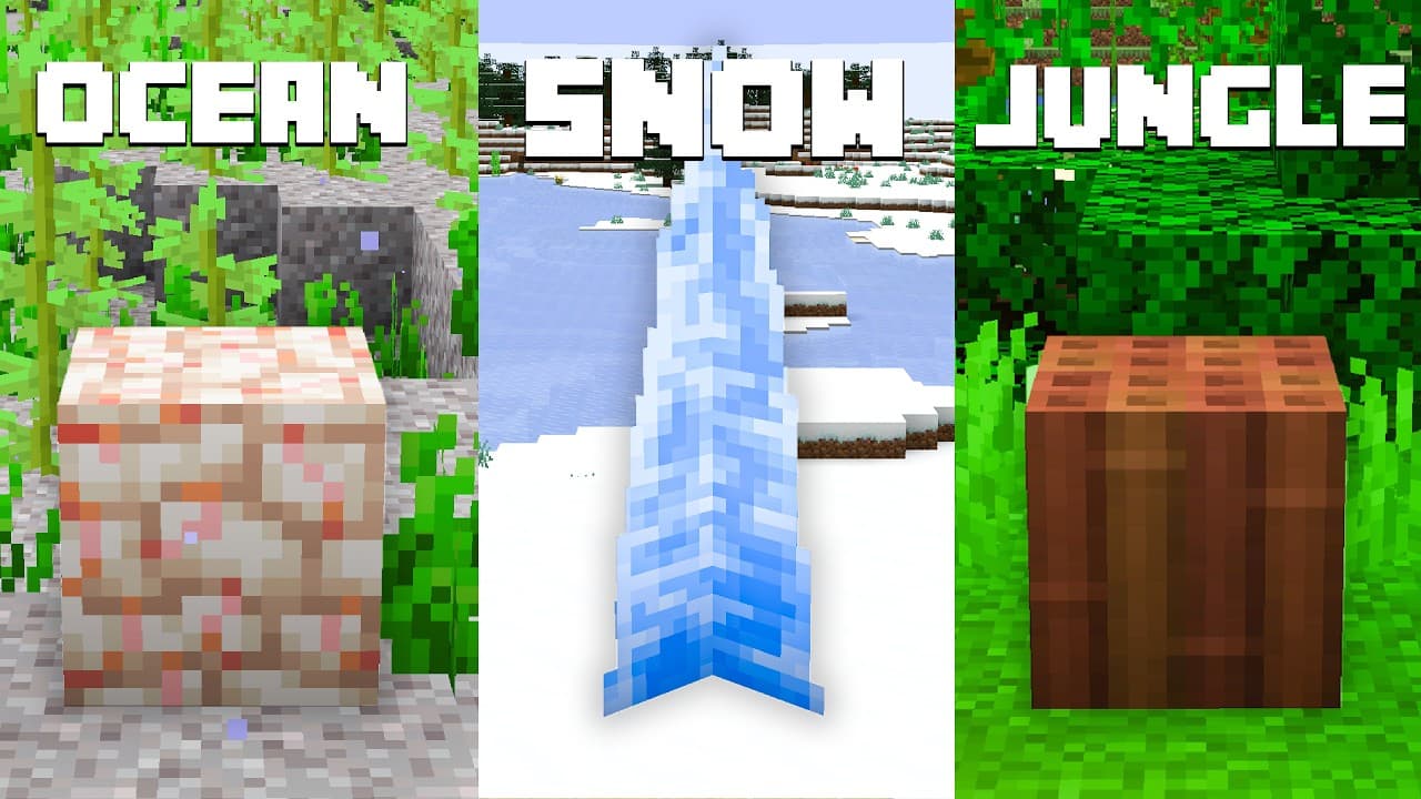 I Added a Block for EVERY Biome in Minecraft