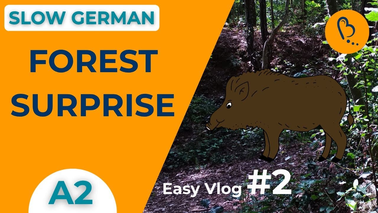Learn German in the Forest – Wild Boar Surprise 🌳🐗 | Easy Vlog #2 | Comprehensible Input [A2]