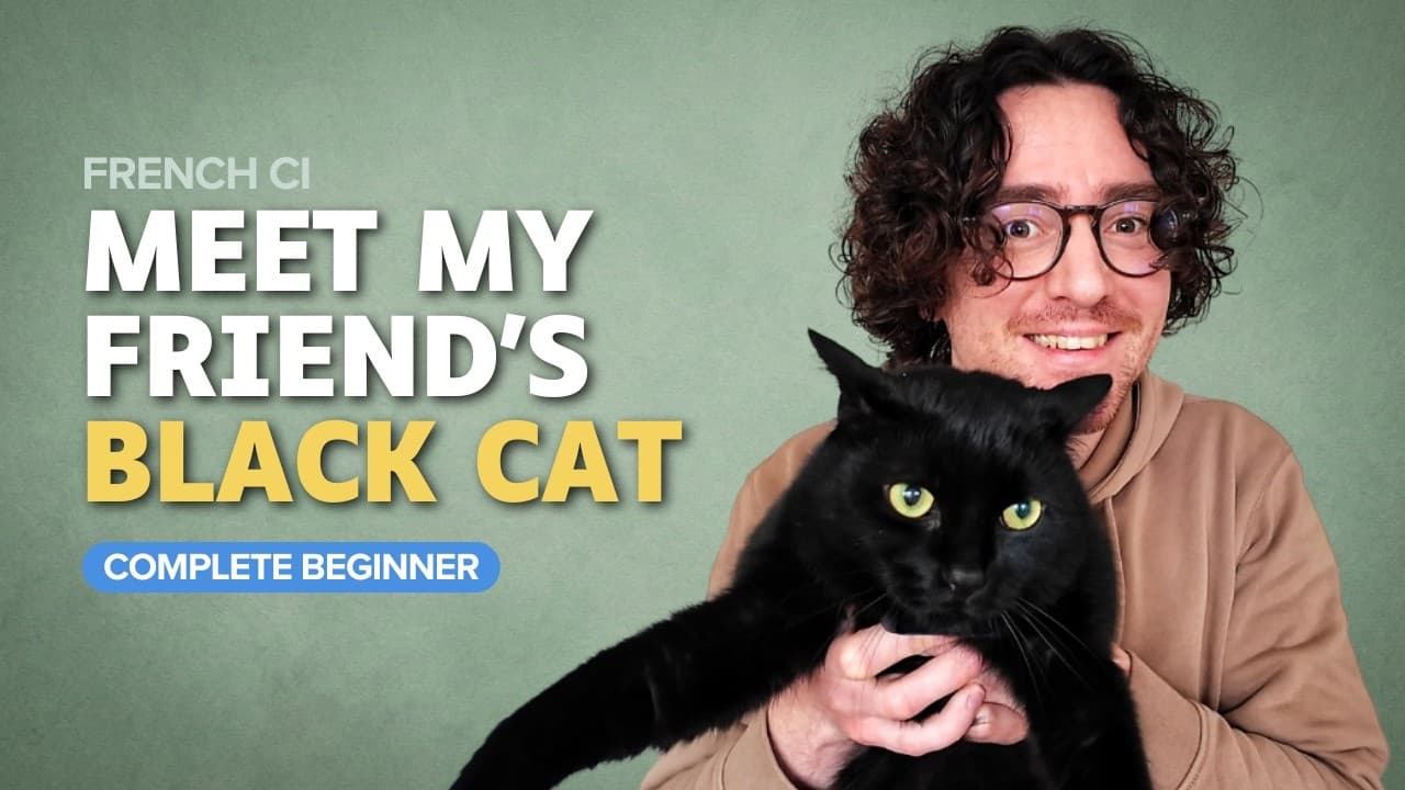 Meet my friend's black cat – Complete beginner French (Comprehensible Input)