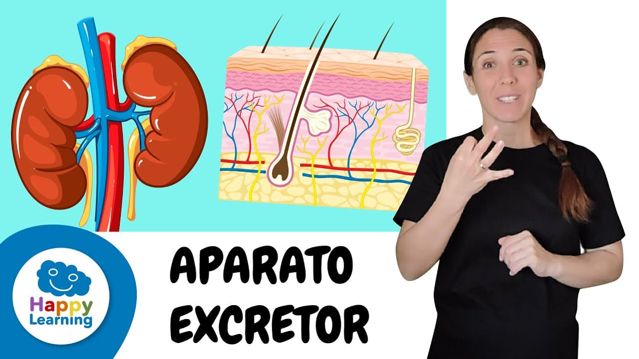 EL APARATO EXCRETOR en LENGUA DE SIGNOS | Biología para Niños | Happy Learning 🚽😰