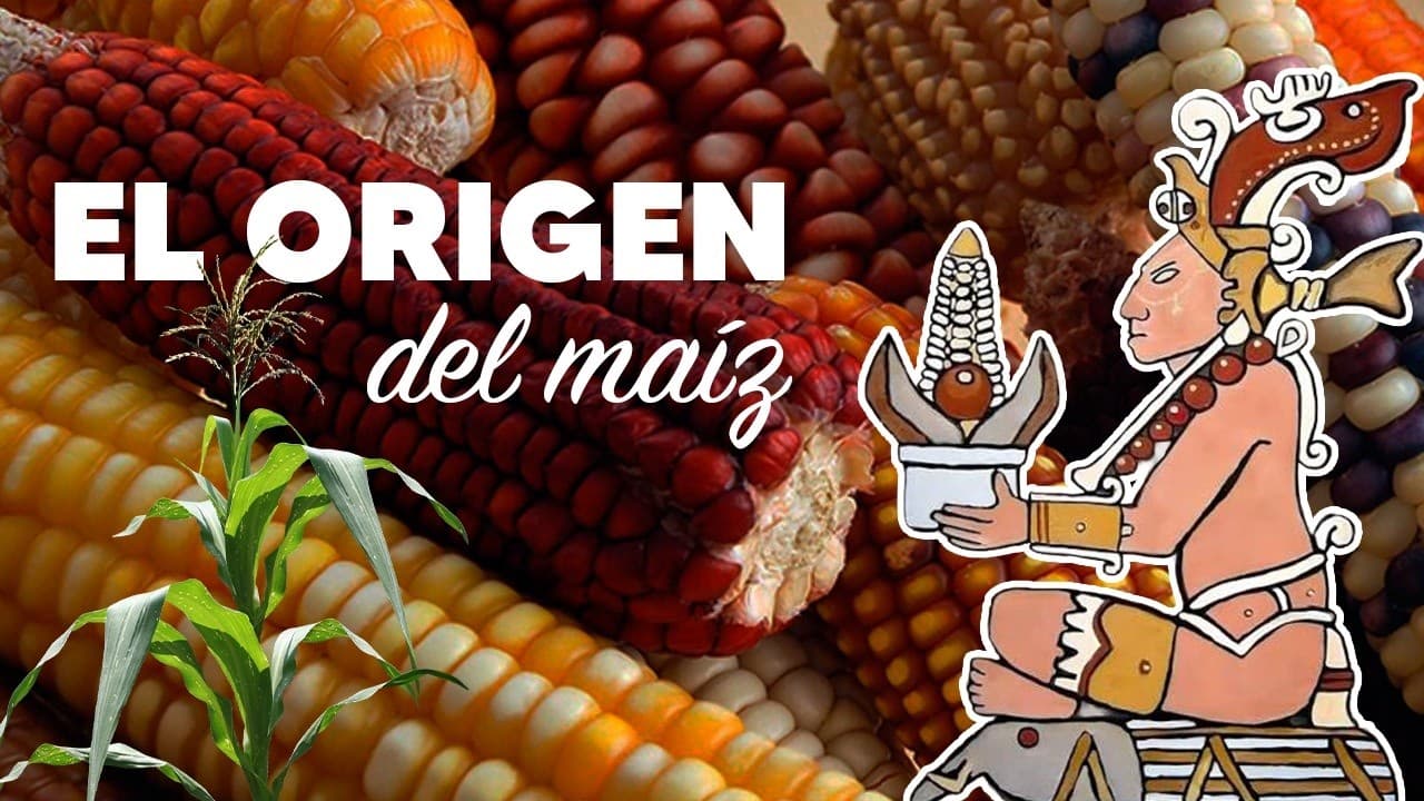Arqueología Mexicana. Origen del maíz