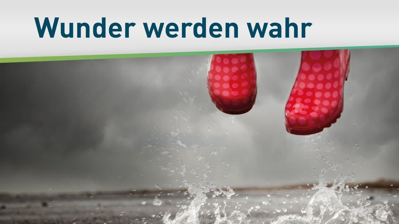 Das Leben ist doch wunderbar – Bayless Conley