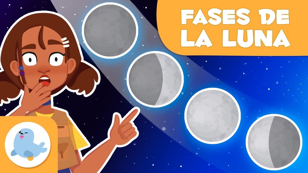 FASES DE LA LUNA para niños 🌕🌗🌘🌓 Luna nueva, creciente, llena y menguante
