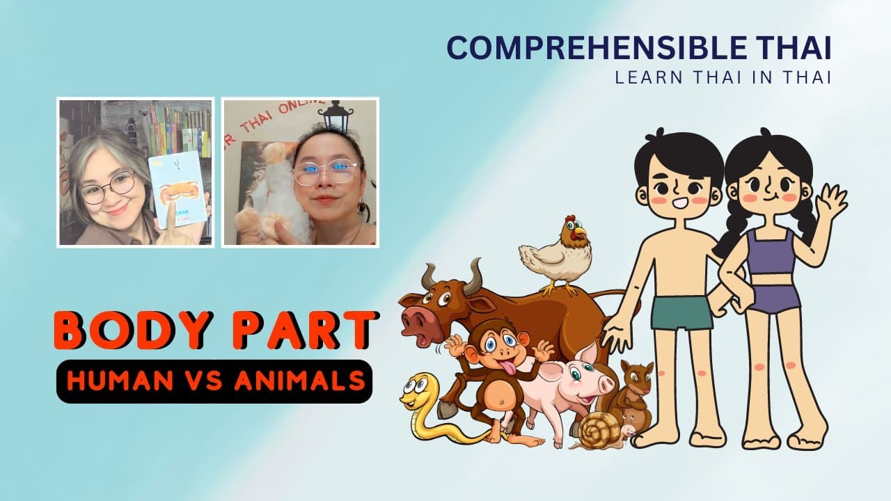 Body parts: humans vs animals (Learn Thai in Thai: Basic Beginner)