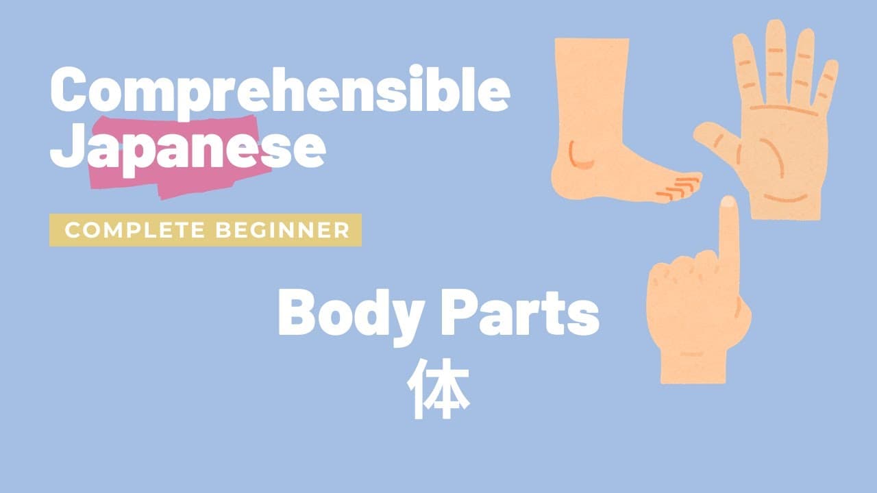 Body Parts 体 - Complete Beginner Japanese 日本語超初心者