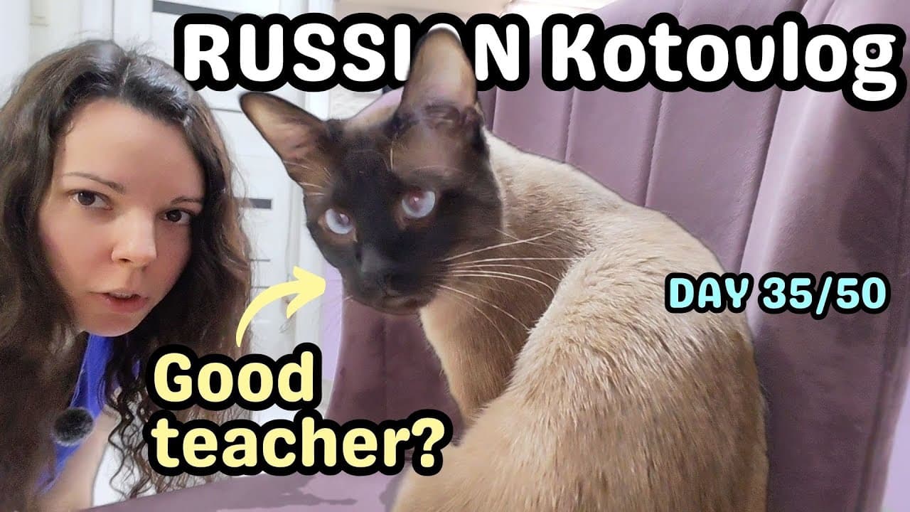 Russian for Beginners: Cat Daily Routine + Body Parts Vocabulary 🐾 | Easy A1–A2+ Listening (Day 35)