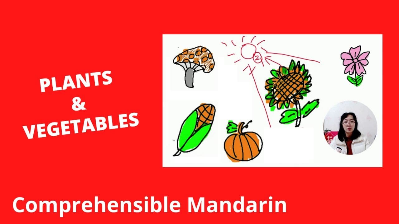 Plants & Vegetables - Chinese Comprehensible Input