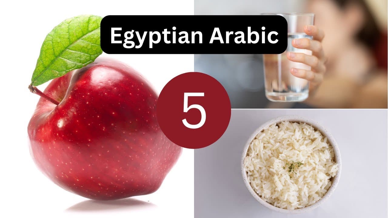 Egyptian Arabic | Lesson 5 - Food & drink, hot & cold